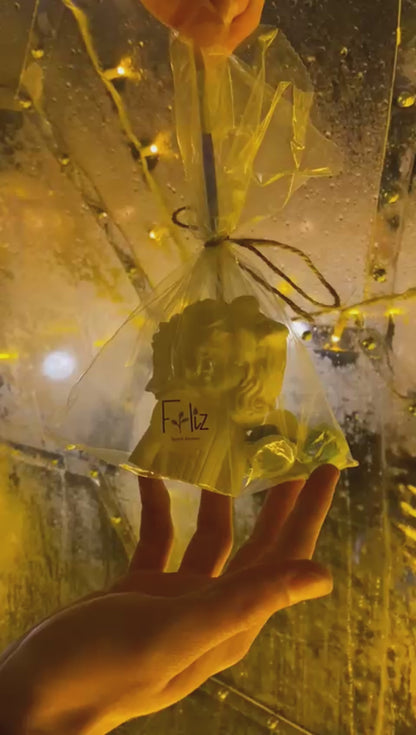 Sessiz Çiçek Kız + 6 Renk Boya + 2 Fırça