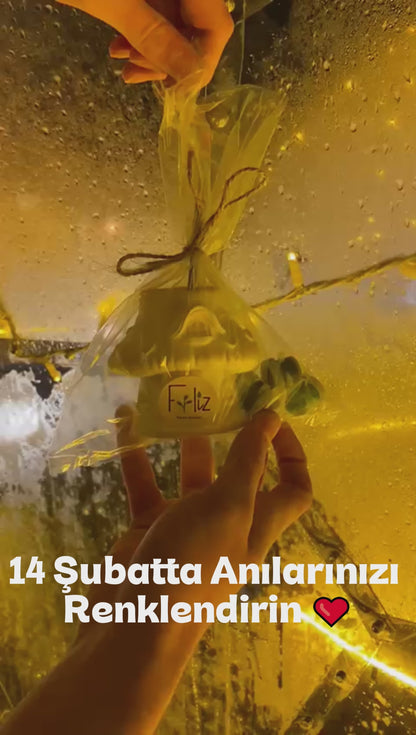 Mantar Kulübe + 6 Renk Boya + 2 Fırça