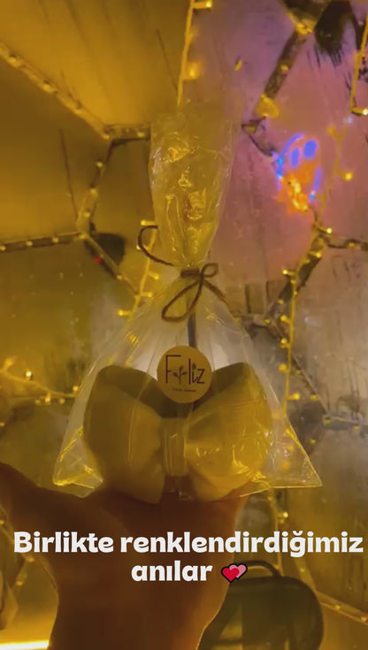 Kurdele Kalemlik + 6 Renk Boya + 2 Fırça